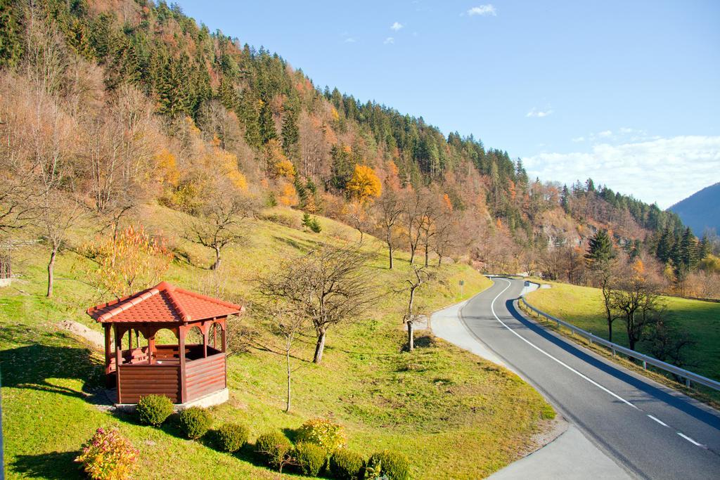 Farm Stay Bukovje Ljubno Eksteriør billede