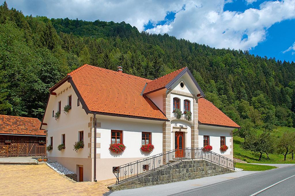 Farm Stay Bukovje Ljubno Eksteriør billede