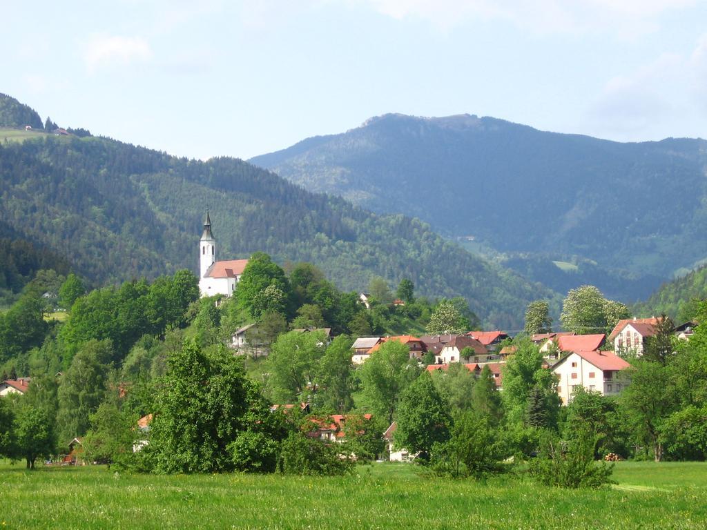 Farm Stay Bukovje Ljubno Eksteriør billede