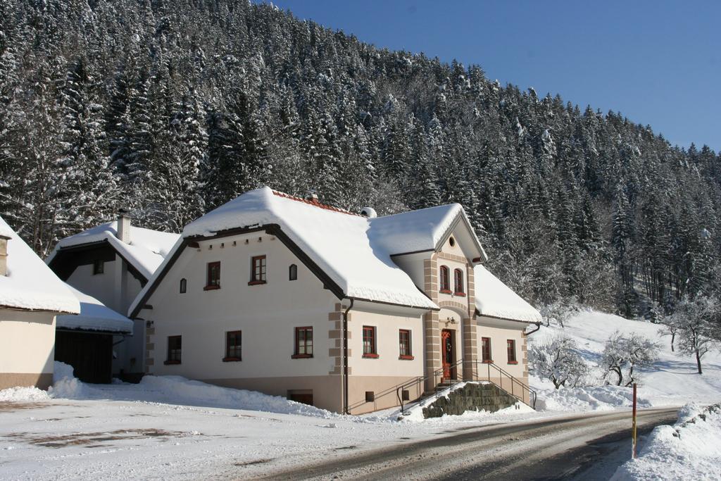 Farm Stay Bukovje Ljubno Eksteriør billede